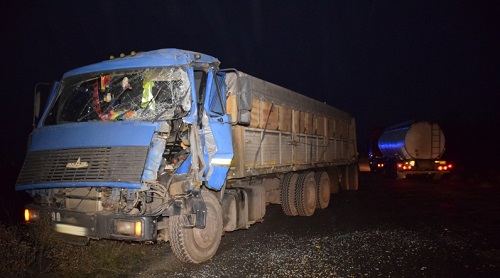 Свежие новости: На трассе под Николаевом столкнулись два зерновоза