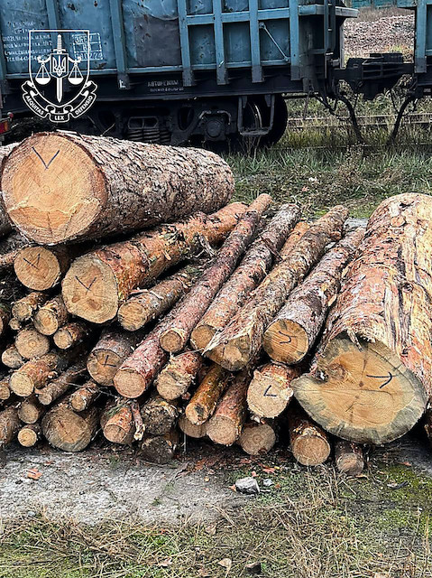 Свежие новости: СБУ та прокуратура зупинили спробу незаконного експорту соснової деревини