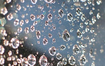 Свежие новости: Сегодня Украину местами накроют дожди