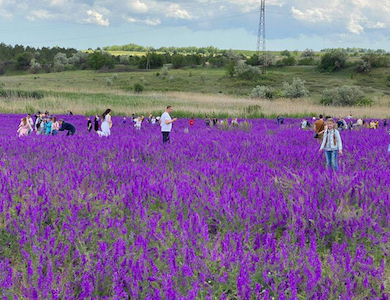 Свежие новости: Вблизи Одесской области посадили фиолетовое море