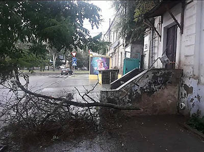 Свежие новости: В Николаеве из-за сильного ливня попадали деревья и столб электропередач