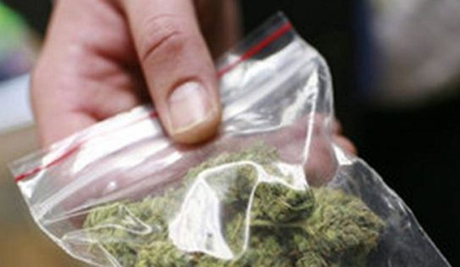 Свежие новости: На Николаевщине у наркодиллера нашли каннабис, стоимостью более 150 тысяч гривен