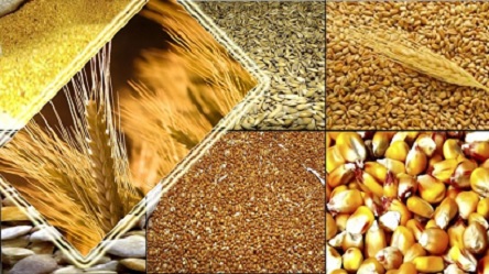 Свежие новости: Уряду необхідно терміново звернути увагу на ціни на сільгосппродукцію врожаю 2019 року