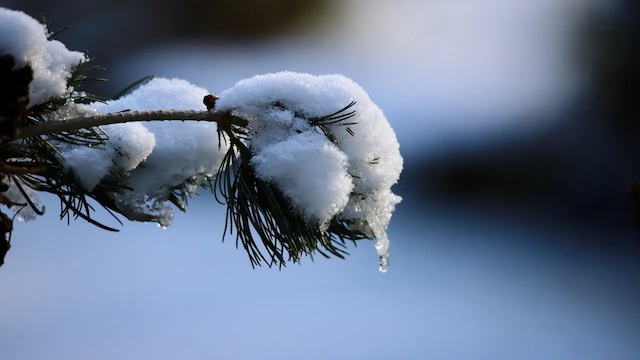 Свежие новости: Різке потепління прийде в Україну вдень у середу