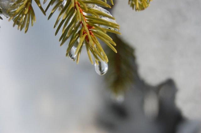 Свежие новости: У Миколаєві завтра обіцяють потепління до +11°