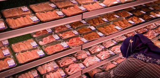 Свежие новости: В Малайзии кенгурятину и конину годами выдавали за халяльную говядину