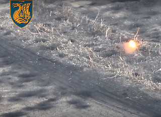 Свежие новости: Миколаївські морпіхи показали зачистку позицій окупантів