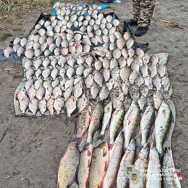 Свежие новости: У Миколаєві затримали рибалок, які наловили риби на понад ₴340 тисяч