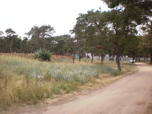 Свежие новости: В Николаеве суд постановил снести дом экс-начальника экоинспекции на «Маяке»