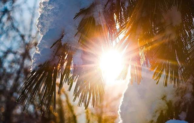 Свежие новости: В Украину идет потепление: каких областей коснется