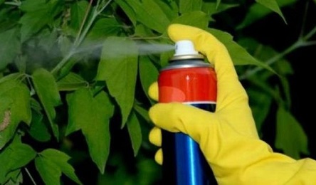 Свежие новости: В Украине упрощается порядок ввоза незарегистрированных пестицидов