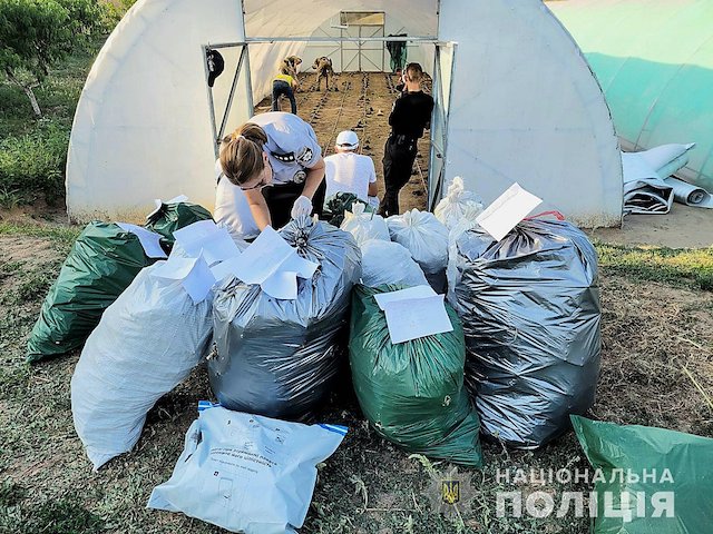 Свежие новости: В Очаковском районе полиция изъяла у мужчины коноплю на ₴11 миллионов