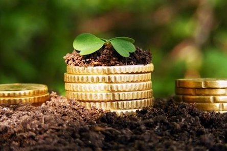 Свежие новости: Эксперты посчитали, сколько Украина теряет из-за моратория на продажу земли