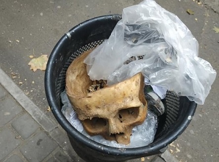 Свежие новости: ФОТО: В урне в центре Николаева нашли человеческий череп