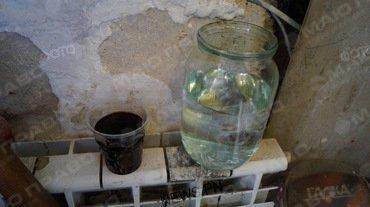 Свежие новости: «Мы будем вынуждены перекрывать улицы», - жители дома, где продолжают торговать самогоном, обратились к губернатору Николаевщины