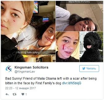Свежие новости: Собака Обамы покусала гостью Белого дома