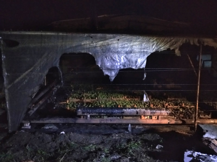 Свежие новости: В Вознесенском районе спасатели тушили теплицы с рассадой