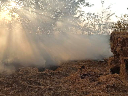 Свежие новости: На Николаевщине произошел пожар: сгорело  3,7 тонны соломы и 3 тонны сена