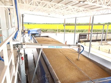 Свежие новости: Новый терминал НИБУЛОНА принял 3200 т зерна нового урожая