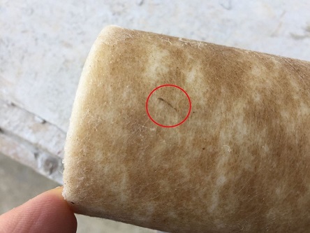 Свежие новости: В Николаеве опять находят червей в фильтрах после очистки водопроводной воды