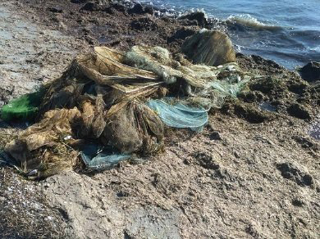 Фото новости: На Николаевщине рыбоохрана изъяла более 50 креветочных сетей Свежие новости: На Николаевщине рыбоохрана изъяла более 50 креветочных сетей