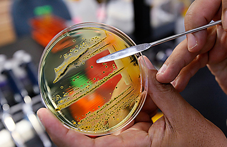 Свежие новости: На Николаевщине шестеро людей из одной семьи заболели сальмонеллезом