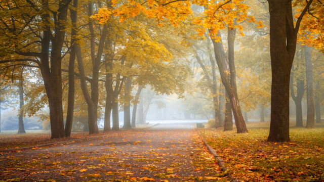 Свежие новости: После четверга в Украину придут холода, которые продлятся до апреля