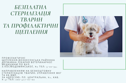 Свежие новости: Вознесенськ. Безплатна стерилізація тварин та профілактичні щеплення