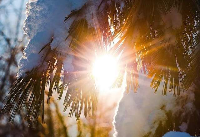 Свежие новости: В Украину идет потепление: синоптики назвали дату