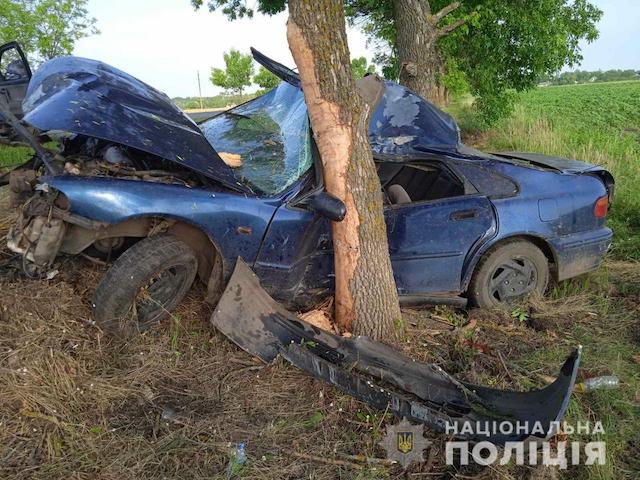 Свежие новости: В Баштанской ОТГ дерево заблокировало водителя HONDA