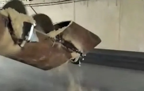 Свежие новости: Николаевец показал на видео, как на терминале погружают на теплоход зерновые вперемешку с песком