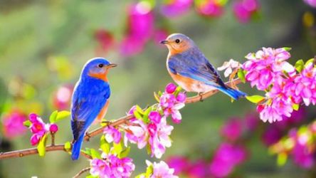 Свежие новости: Сегодня в Украине ожидается резкое потепление