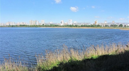 Свежие новости: ВИДЕО: В Киеве 36-летняя женщина утопила двух собственных детей