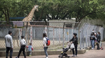 Свежие новости: В Ухане вылечили последнего больного с тяжелой формой заражения Сovid-19