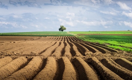 Свежие новости: За 2019 год участникам боевых действий Николаевщины передано в собственность 1050 земельных участков