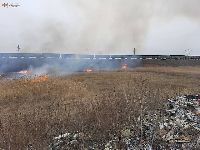 Свежие новости: Возле Вознесенска неизвестные подожгли камыш – огонь распространился на 2 га