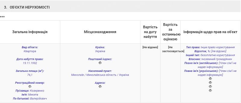 Скриншот декларации Никиты Козыренко