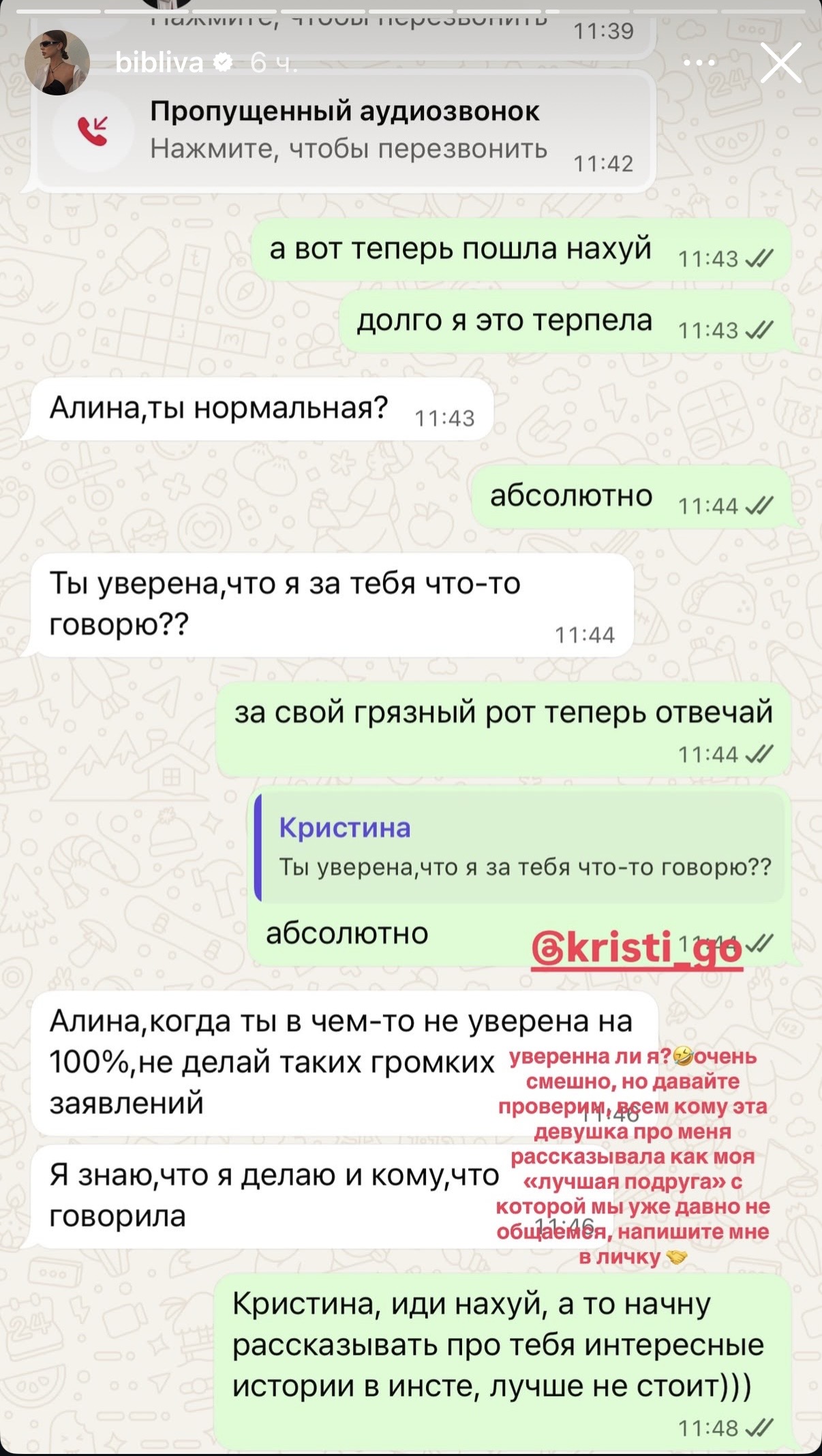 Скриншот Instagram-сторіс Аліни Біблєвої @bibliva